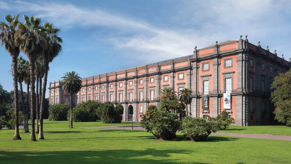 Reggia Capodimonte low