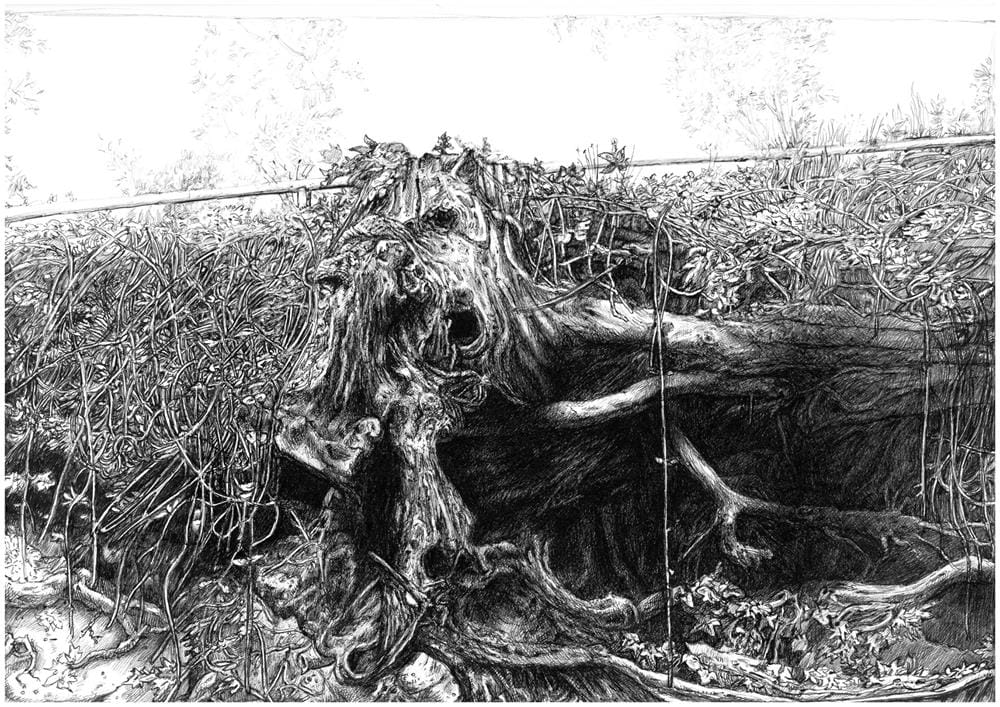 Lorenza-Corpullis-Foresta2024-Copy Ogni ordine svanisce: inaugurazione della mostra presso il Borgo Foresta a Tora e Piccilli