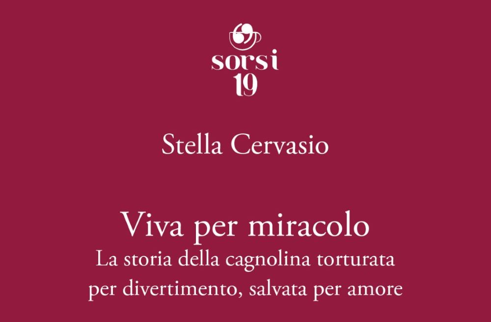 viva per miracolo k low