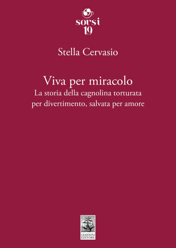 viva-per-miracolo-low Torna in libreria Stella Cervasio con 'Viva per miracolo'