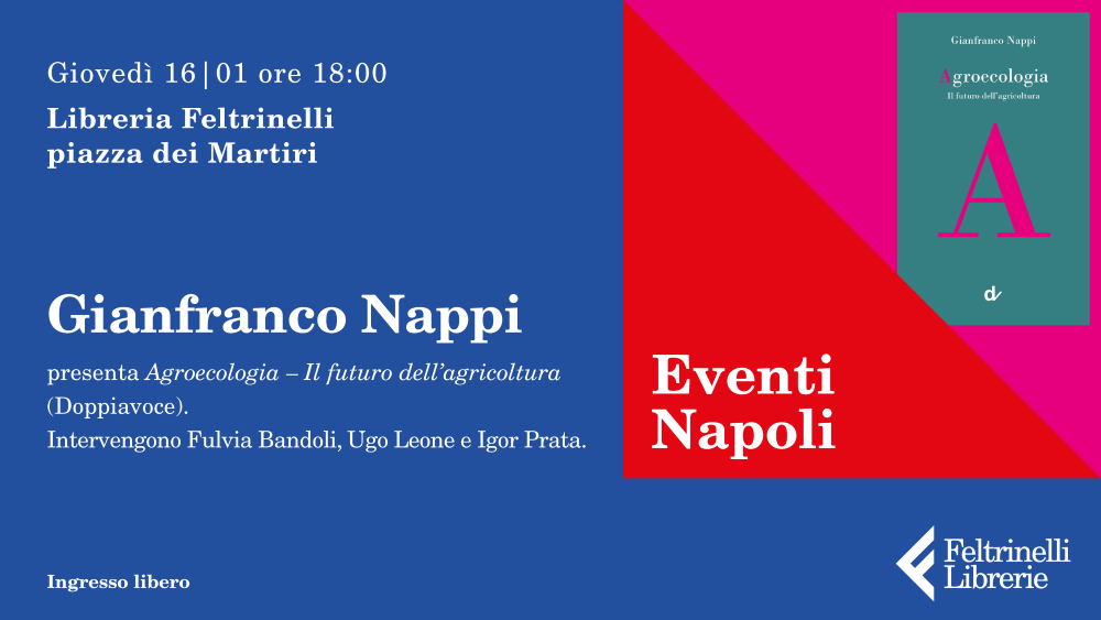 FEL25 0021 DS 3840x2160 16 01 Nappi v1 low