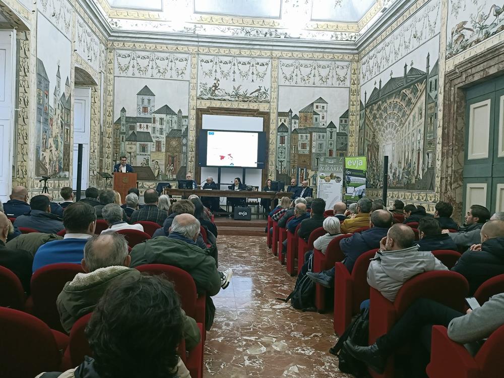 TERZA-FOTO-Copy Coltivazioni fuori suolo e progetto Agritech: Agronomi protagonisti alla Federico II