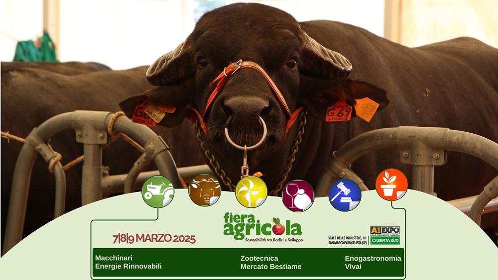 476253935_926411639668166_1434109124293492549_n-Copy A1Expò: 18ª edizione di Fiera Agricola, evento di riferimento per il settore agricolo del Sud Italia