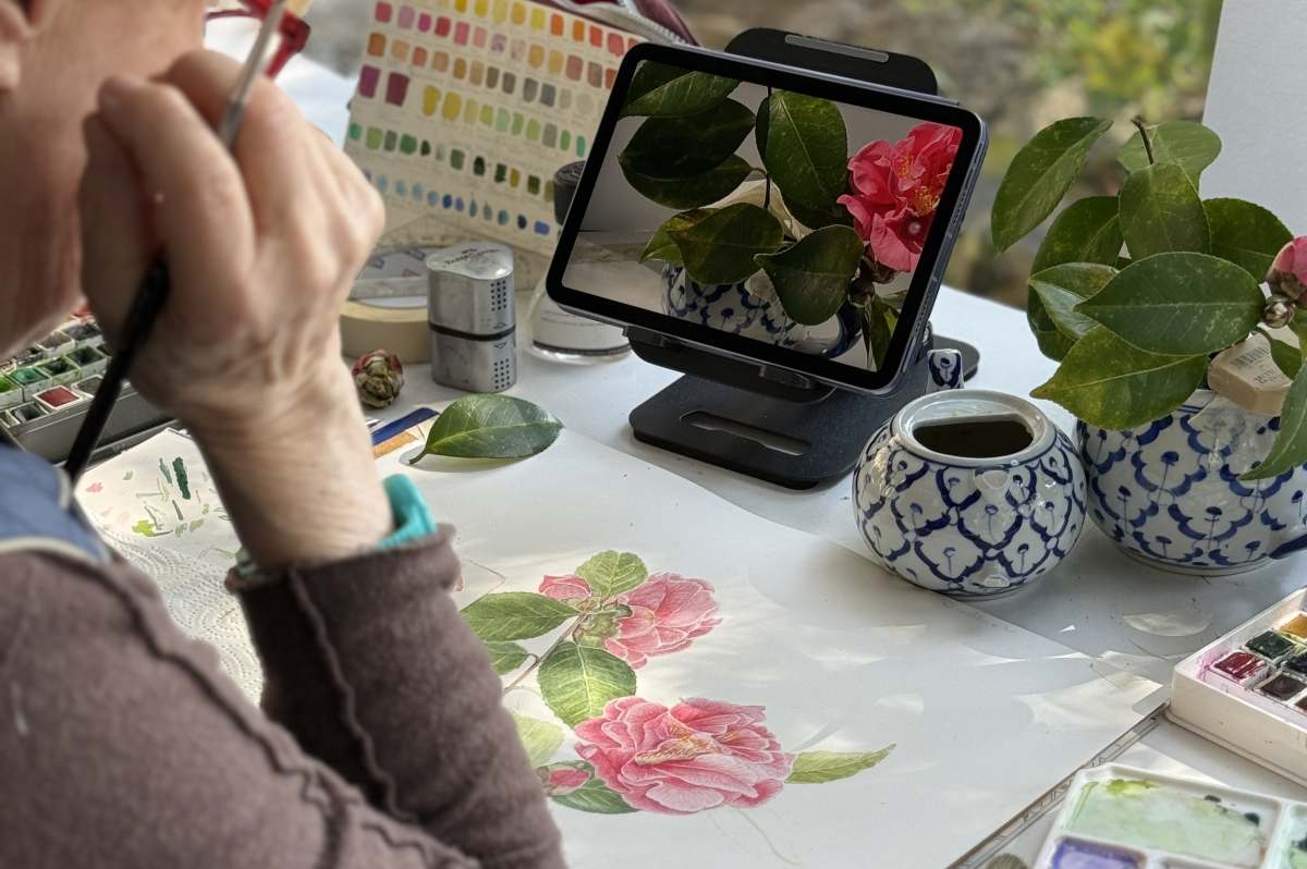 Pittura Botanica k 1200