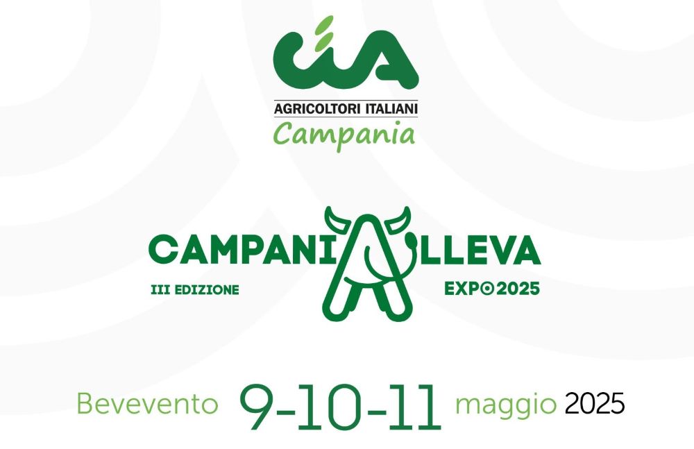 locandina cia campania k low