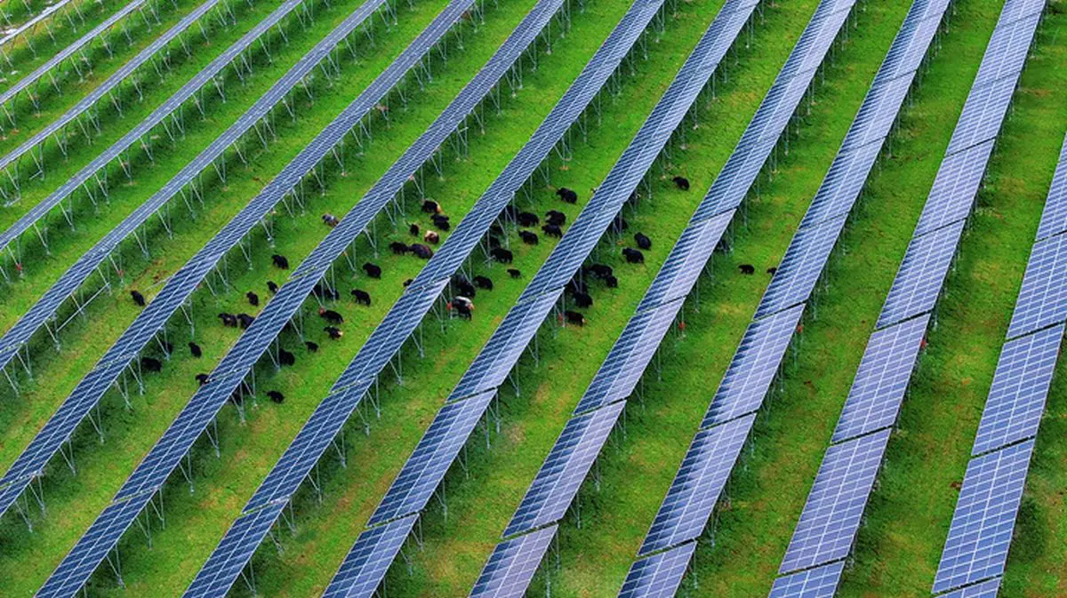 Cina, nel Sichuan attivato importante progetto fotovoltaico ad alta quota 2 20260101 0873